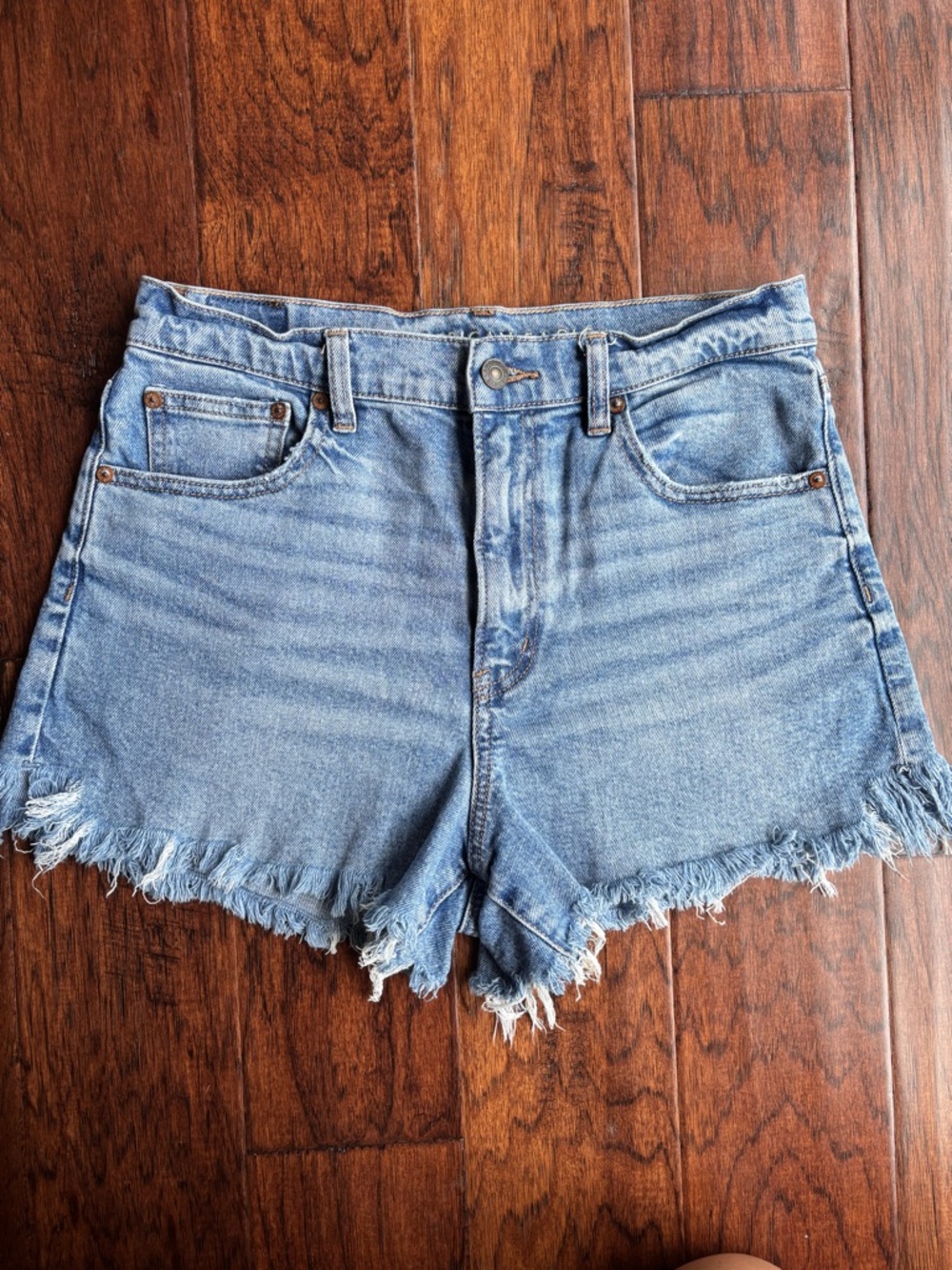American Eagle Outfitters Distressed Light Blue Denim Cutoff Shorts